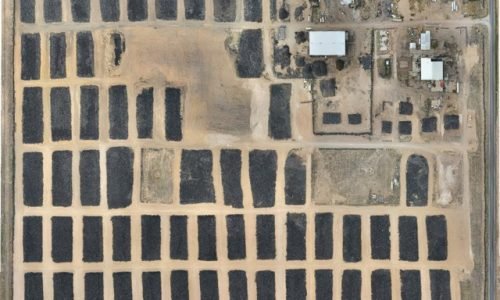 WhatsApp Image 2024-09-19 at 18.16.13_a8903eba