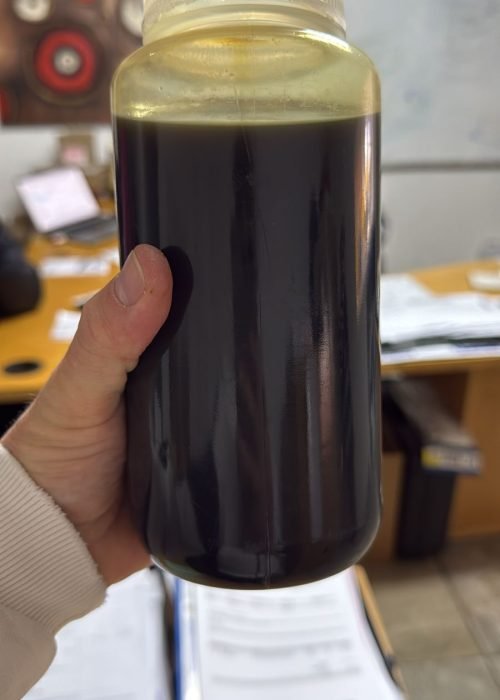 WhatsApp Image 2025-12-20 at 9.50.55 PM